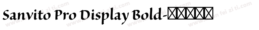 Sanvito Pro Display Bold字体转换
